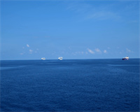 定制建站VS模板建站哪个好？